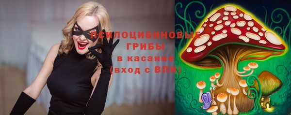 PSILOCYBIN Алзамай