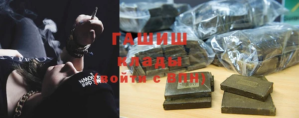PSILOCYBIN Алзамай